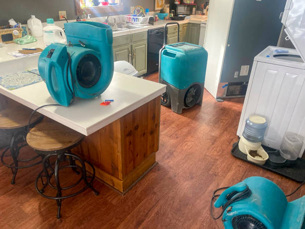 Best Water damage restoration near me  in Swede Heaven, WA