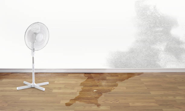 Best Water damage contractors near me  in Swede Heaven, WA