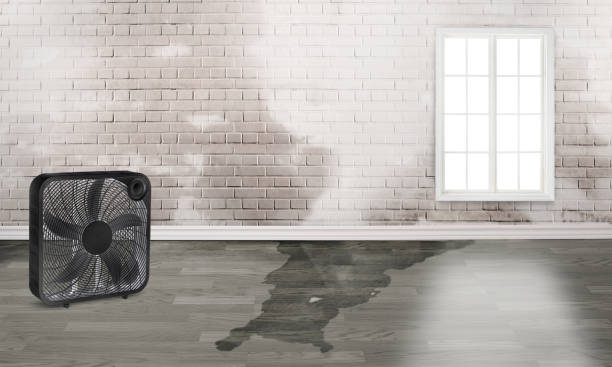 Best Water damage restoration company  in Swede Heaven, WA