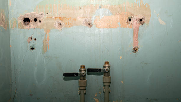 Best Professional water damage repair  in Swede Heaven, WA