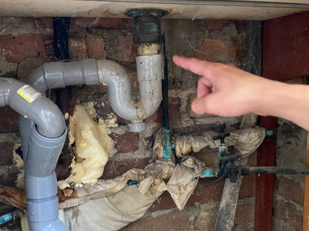 Reliable Swede Heaven, WA Water damage restoration Solutions