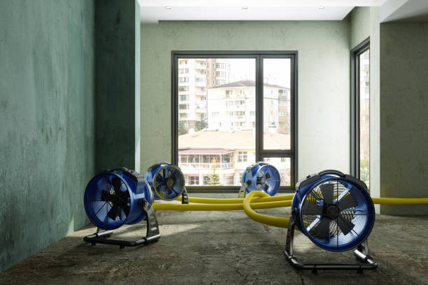 Best Commercial water damage restoration  in Swede Heaven, WA